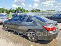 2013 Honda Accord photo