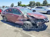 2013 Honda Accord photo
