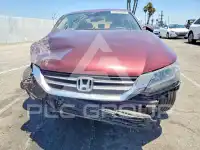 2013 Honda Accord photo