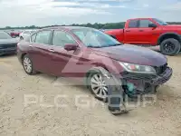 2013 Honda Accord фото