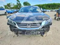2013 Honda Accord photo