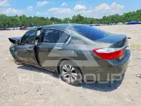 2013 Honda Accord фото