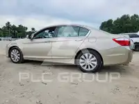 2013 Honda Accord photo