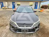 2013 Honda Accord photo