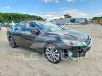 2013 Honda Accord photo