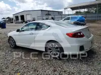2013 Honda Accord photo