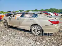 2013 Honda Accord photo