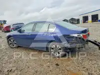 2013 Honda Accord photo