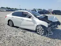 2013 Honda Accord photo