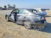 2013 Honda Accord photo