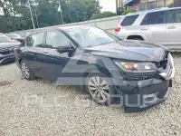 2013 Honda Accord фото