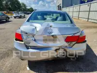 2013 Honda Accord photo