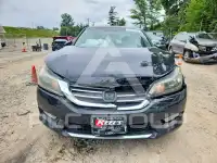 2013 Honda Accord фото