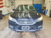 2013 Honda Accord photo