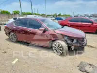 2013 Honda Accord photo