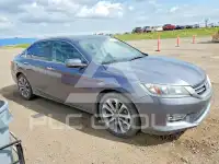 2013 Honda Accord фото