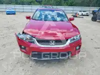 2013 Honda Accord photo