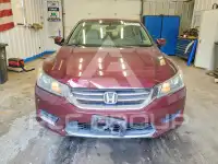 2013 Honda Accord photo