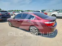 2013 Honda Accord photo