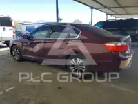 2013 Honda Accord photo