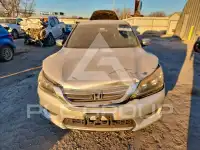 2013 Honda Accord photo