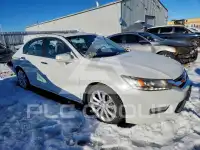 2013 Honda Accord photo