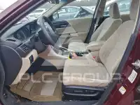 2013 Honda Accord photo