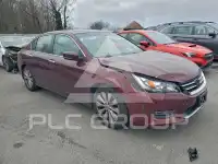 2013 Honda Accord photo