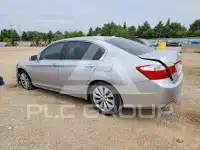 2013 Honda Accord photo