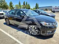 2013 Honda Accord photo