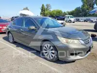 2013 Honda Accord фото