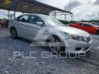 2013 Honda Accord photo