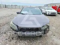 2013 Honda Accord фото