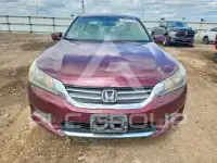 2013 Honda Accord photo