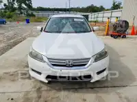 2013 Honda Accord photo