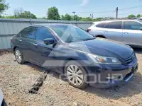 2013 Honda Accord фото