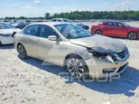 2013 Honda Accord photo