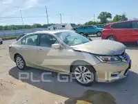 2013 Honda Accord photo
