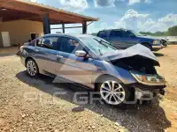 2013 Honda Accord photo