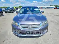 2013 Honda Accord photo