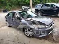 2013 Honda Accord фото