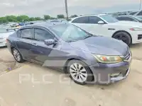 2013 Honda Accord photo