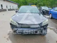 2013 Honda Accord фото