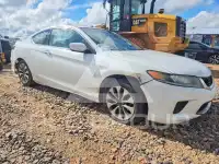 2013 Honda Accord photo