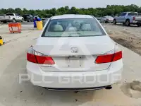 2013 Honda Accord photo