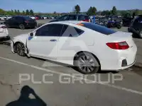 2013 Honda Accord photo