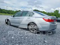 2013 Honda Accord photo