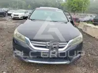 2013 Honda Accord фото