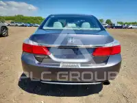 2013 Honda Accord photo