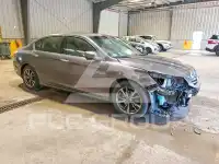 2013 Honda Accord photo